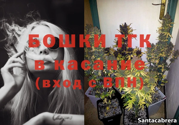 шишки Наволоки