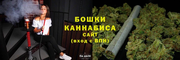шишки Наволоки