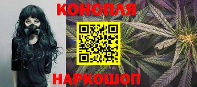 скорость Бийск