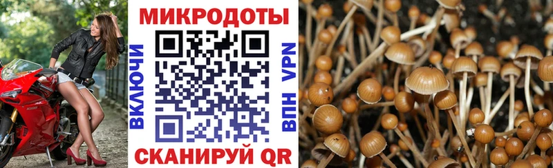 как найти   Нягань  Галлюциногенные грибы ЛСД 