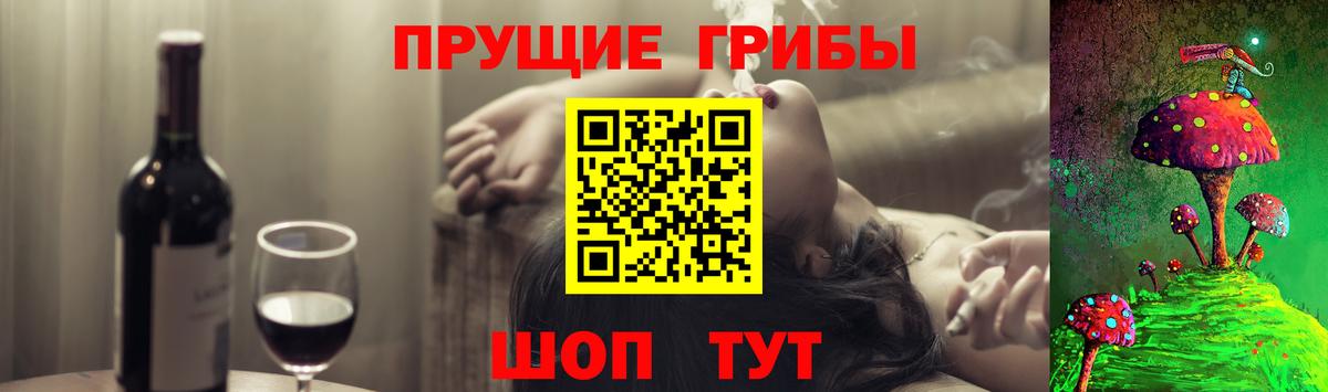 Нягань  Псилоцибиновые грибы прущие грибы  Вход с VPN 